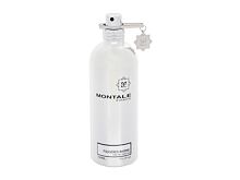 Parfémovaná voda Montale Fougeres Marine 100 ml Tester