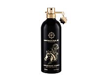 Parfémovaná voda Montale Arabians Tonka 100 ml