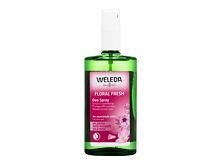 Deodorant Weleda Wild Rose 100 ml poškozená krabička