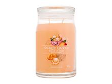 Vonná svíčka Yankee Candle Signature Mango Ice Cream 567 g